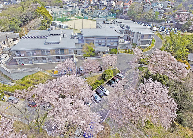 中日青葉学園