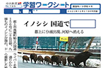 イノシシ 国道で【 】