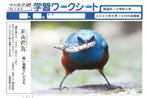 鋭い視線で仁王立ち