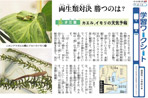 両生類対決 勝つのは?