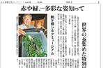 蚕・多彩な姿