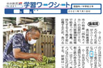 四角スイカ