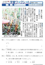 春めいた陽気