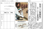 外来アリの比較