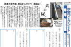 犬の尿?
