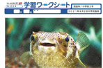 ハリセンボン