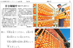 干し柿比べ