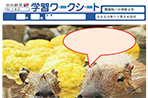 カピバラの露天風呂
