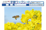 外敵かわす きらきら