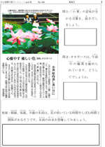 心癒やす 優しい色 オオガハス