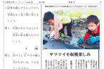 サツマイモ苗植え