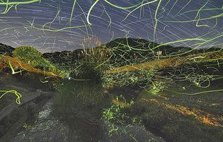 飯降山(奥)を背に、初夏の星々と共演するように乱舞するホタル=大野市上丁で(8日午後8時38分から30秒おきに撮影した56枚の写真を合成、蓮覚寺宏絵撮影)