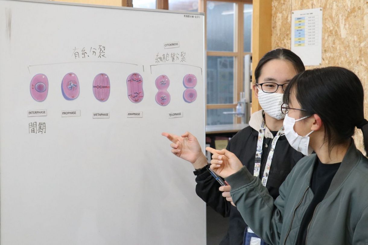 理科の授業で細胞分裂の過程について学ぶ生徒たち。英語も使う＝広島叡智学園で