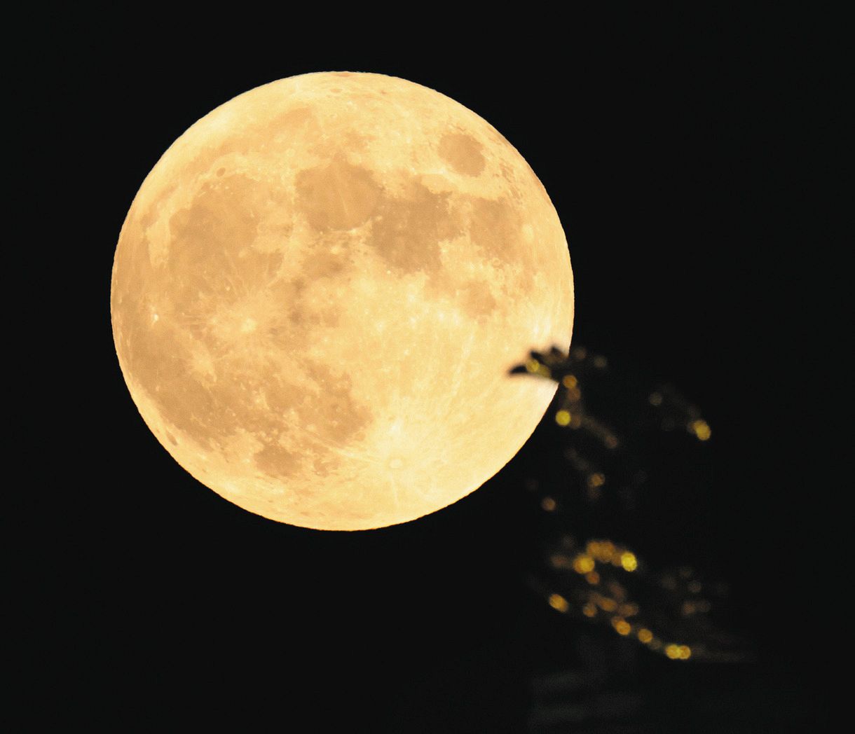 名古屋城の上空に見られた「中秋の名月」。金のシャチホコの向こうに輝く月が昇った