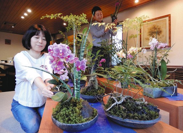 100点余りを出品した宮脇まゆみさん(左)。総合園芸の徳本真一さん(右)とともに、大小の器にコチョウランや観葉植物を添えた=金沢市泉野出町で