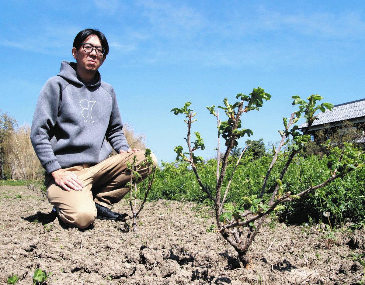3月に植えたバラの苗木を紹介する増田代表＝東近江市池庄町で