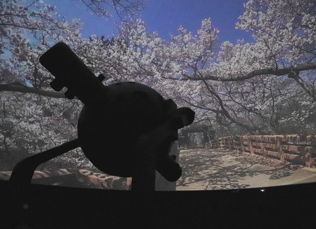 新たに導入した光学式投影機が映し出す高遠町の桜＝伊那市西町の県伊那文化会館で