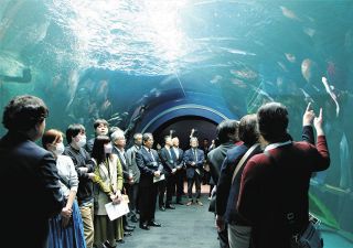 琵琶湖博物館、トンネル水槽の改修完了　内覧会でお披露目