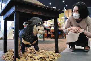木彫りの動物、生き生きと　津で彫刻家・はしもとみおさんの作品展