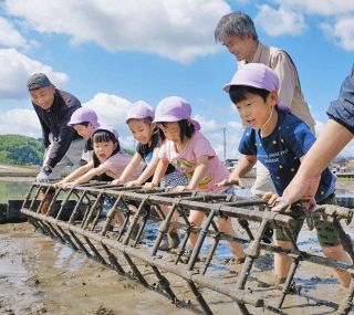 冷たい泥も「楽しい」　福井で園児が田植え体験