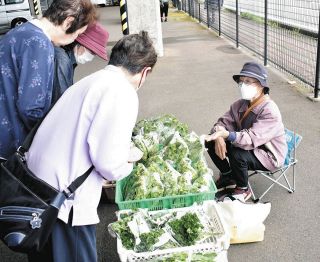 食べ方教わり旬の野菜購入　福井で「あじさい市」始まる