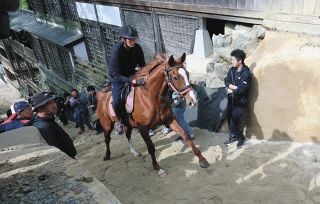 多度大社上げ馬リハーサル全馬が成功　土壁なくし傾斜緩やかに動物虐待批判受け見直し