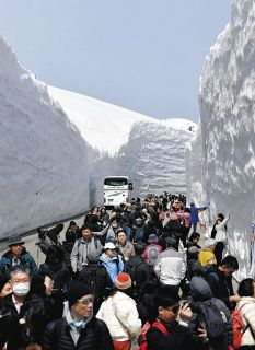【富山】好天の下 迫る雪壁　アルペンルート営業開始