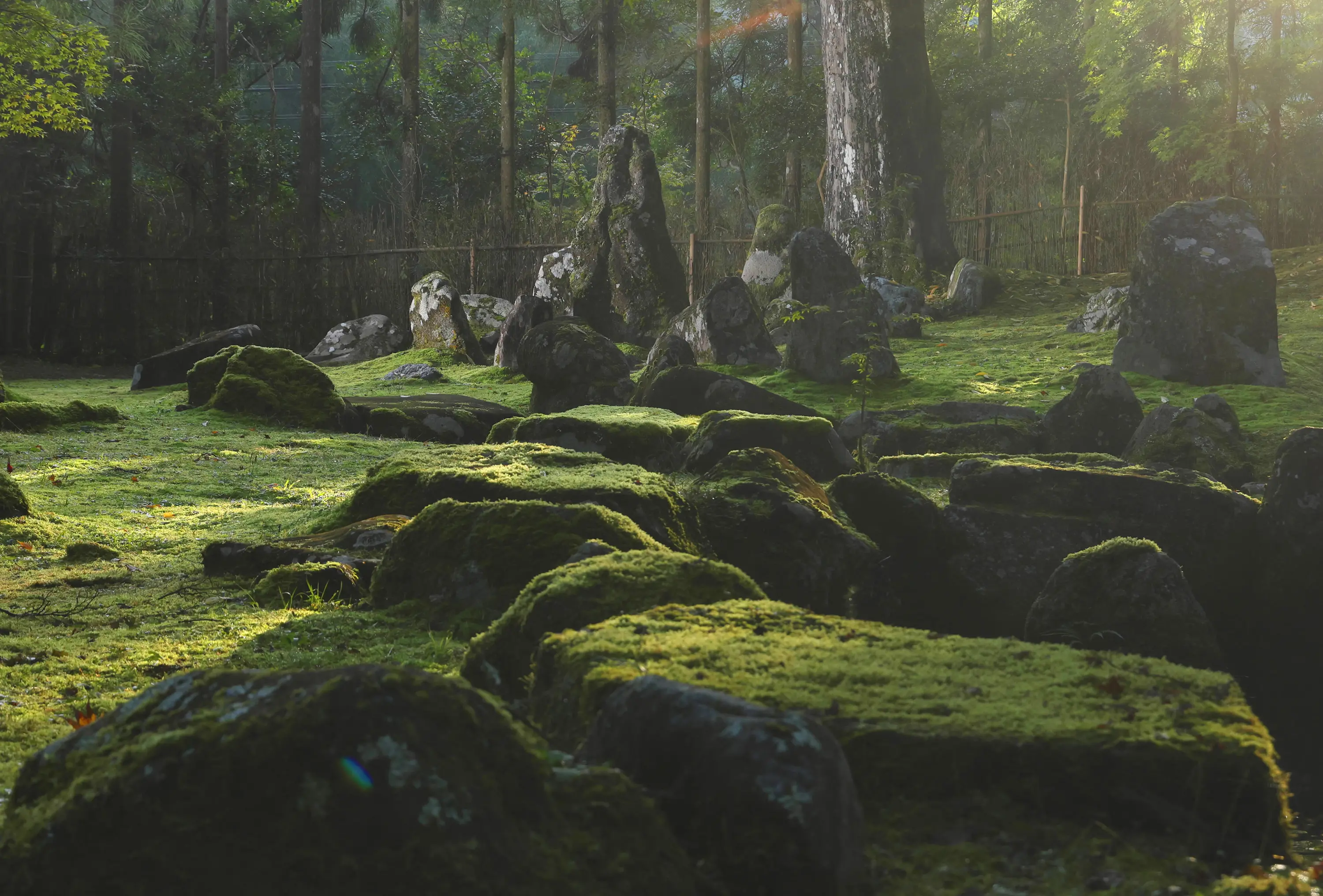 中部地方の美しい日本庭園を案内する特集「庭～THE GARDEN」：中