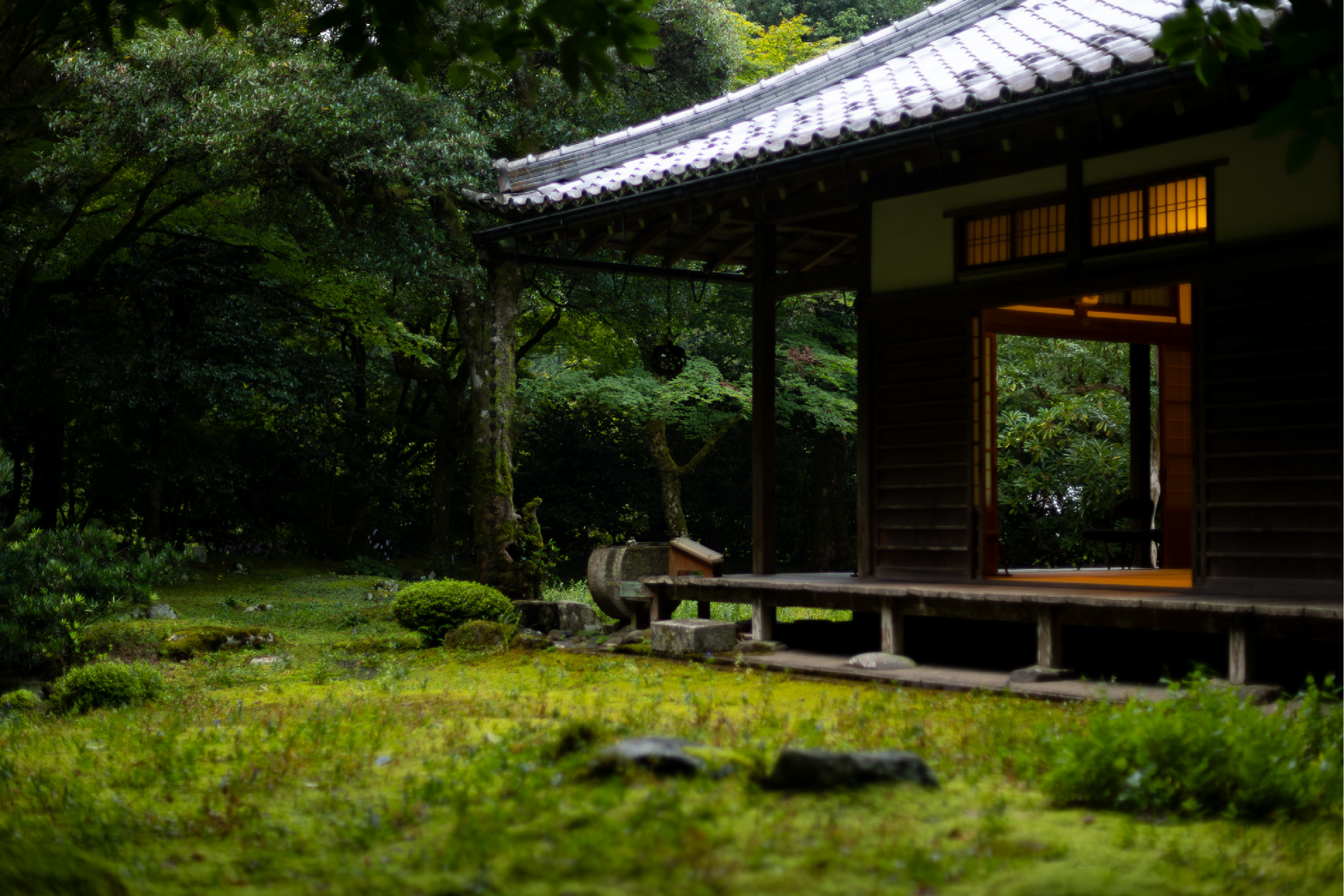 中部地方の美しい日本庭園を案内する特集「庭～THE GARDEN」：中日新聞Web