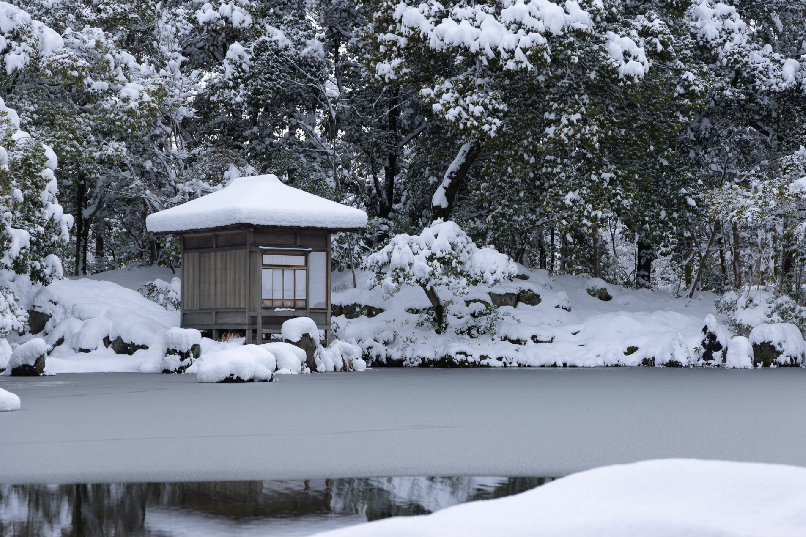中部地方の美しい日本庭園を案内する特集「庭～THE GARDEN」：中日新聞Web