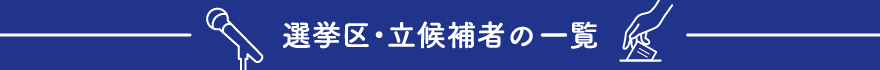 選挙区・立候補者の一覧