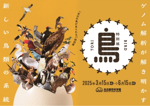 SAVE BIRD PROJECT 2025 ：中日新聞Web