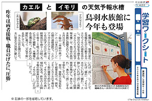 ディターラムスの本　パンフレット　新聞切り抜き　ワークシート ディターラムスの本パンフレット新聞切り抜きワークシート