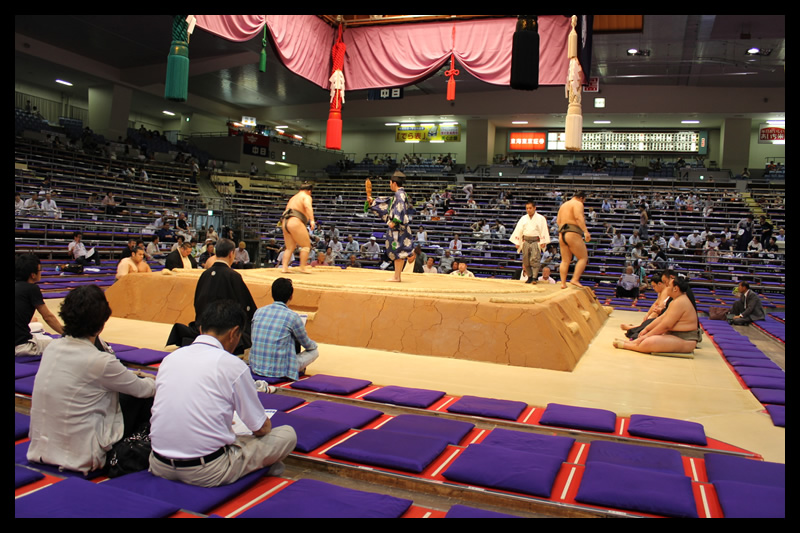 大相撲　名古屋場所　7/16日曜　イスS2席15000円なら可能です