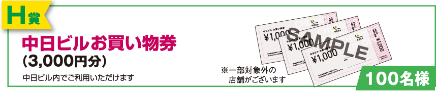 【H賞】中日ビルお買い物券（3,000円分）
