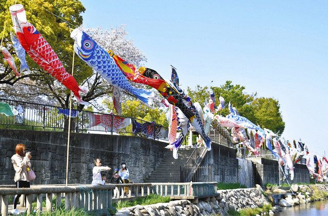 桜を眺めながら泳ぐこいのぼり 蟹江・佐屋川創郷公園：中日新聞Web