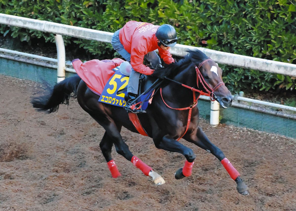 福島記念展望】実力差接近も4歳馬エコロヴァルツに重賞初制覇の