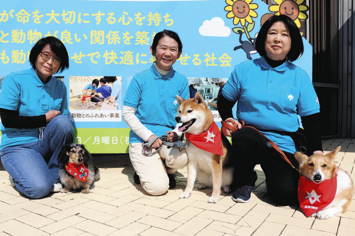 「優しい気持ち、届けるワン」 訪問活動犬に豊田で3組認定：中日新聞web 