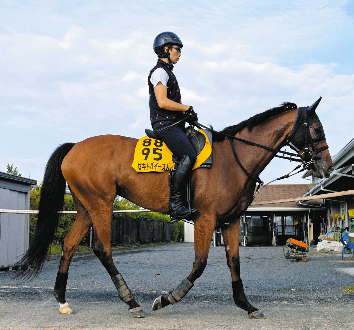 有力馬の動向】新潟大賞典2着バレエマスターはジューンS視野に調整 7着 有力馬の動向】新潟大賞典2着バレエマスターはジューンS視野に調整 7着