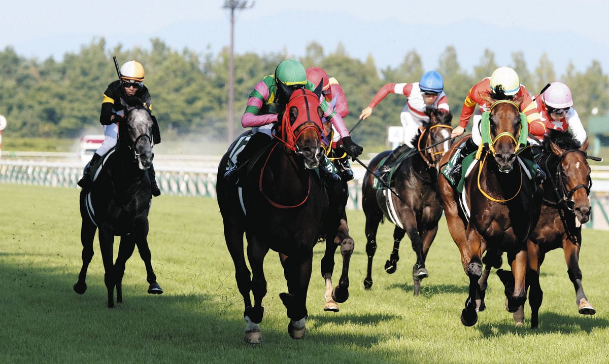 新潟記念】2番人気シランケドが大外から差し切り重賞2勝目 1番人気 