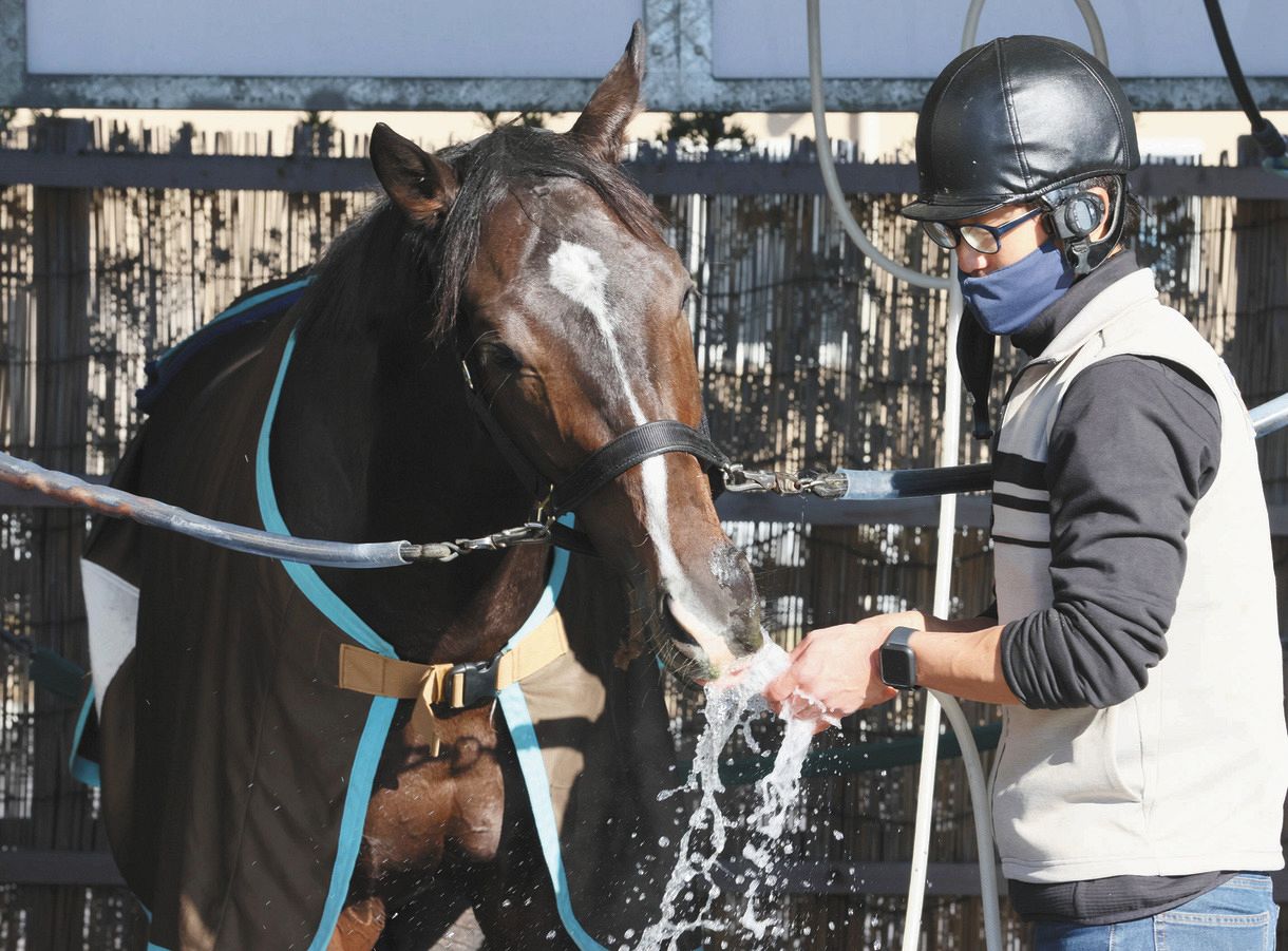 JRA 御駿印　タイトルホルダー　横山和生　横山武史　直筆サイン入り JRA 横山武史、和生騎手 直筆サイン 札幌競馬場 新品未使用品