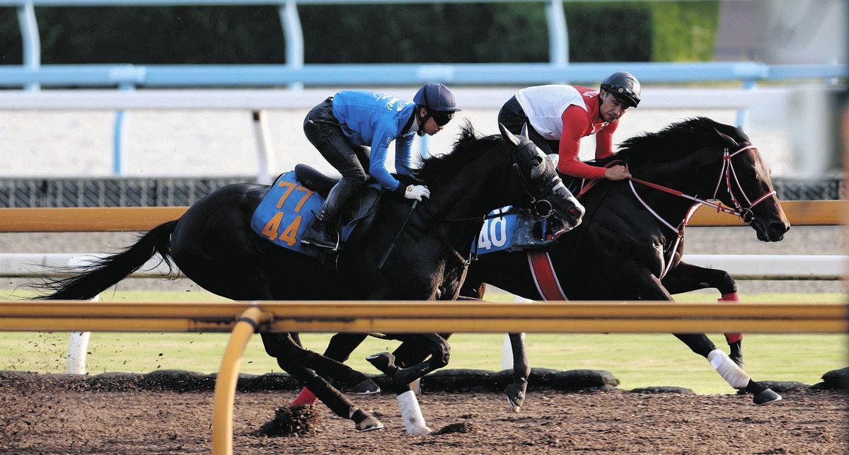 小倉記念追い切り】ラスカンブレス7F97秒1―11秒5 初の小倉に荻野