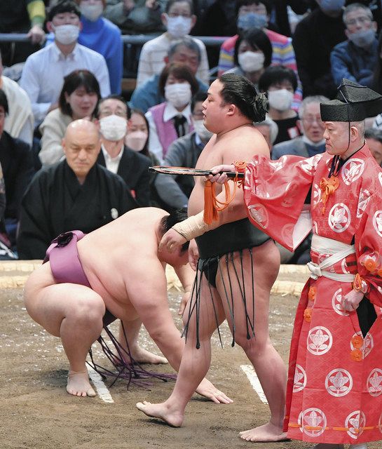 大相撲 遠藤関 反物 - 相撲/武道