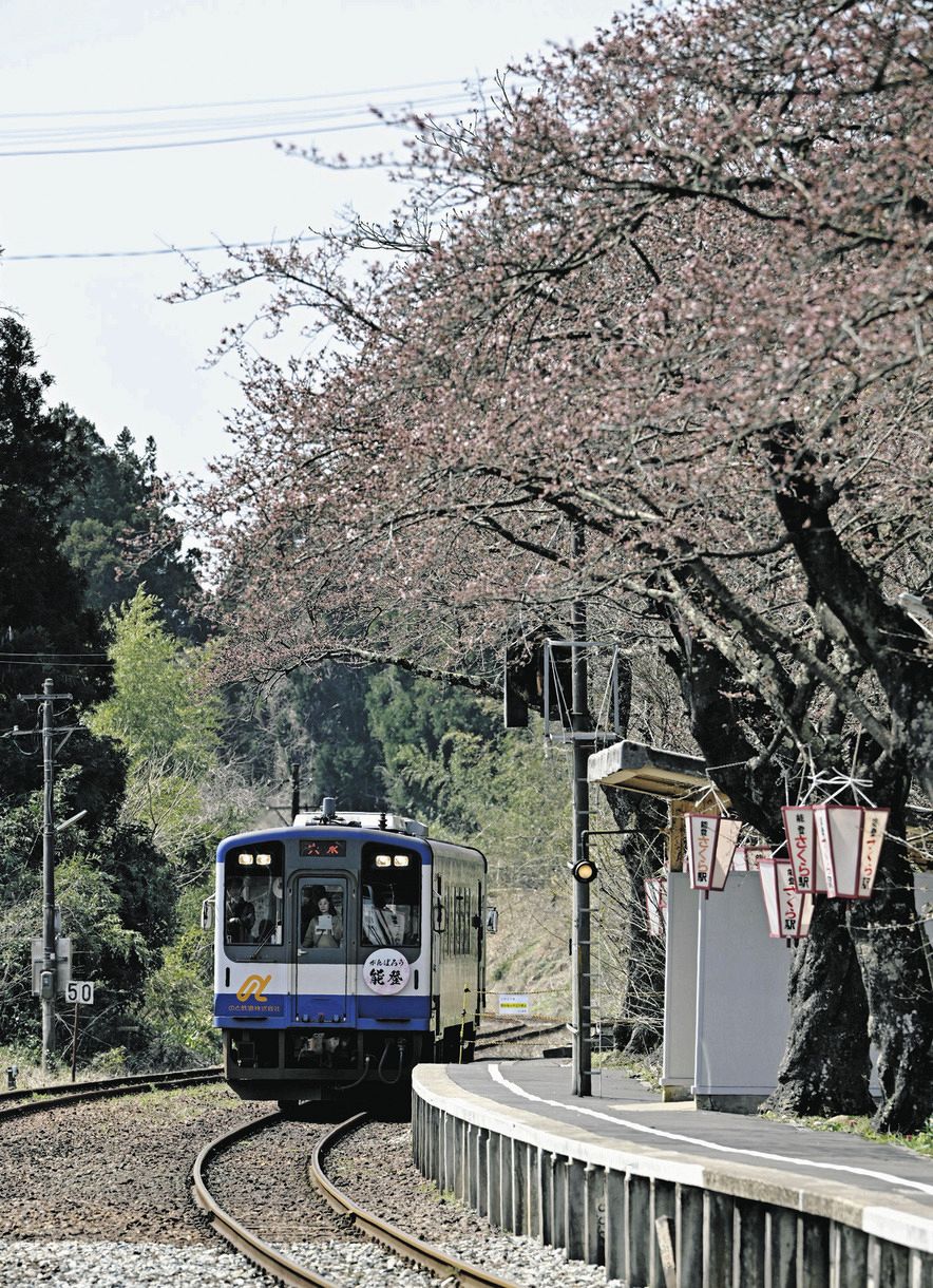 「のと鉄道」が全線で復旧し、桜の名所で知られる能登鹿島駅に到着した列車＝６日午前、石川県穴水町