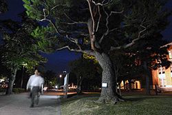 小説と歩く金沢 宵の城下 怪談探訪 北陸中日新聞web