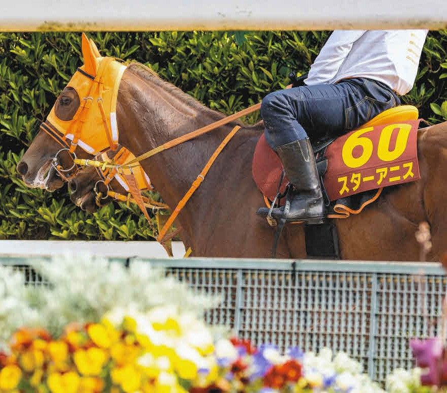 消せる馬・オークス】前走逃げ馬＆馬体重500キロ以上は複勝圏全滅