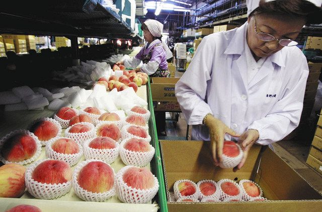 【スーパーセール】 食の安全性 産地偽装から風評被害まで : 趣味・スポーツ・実用