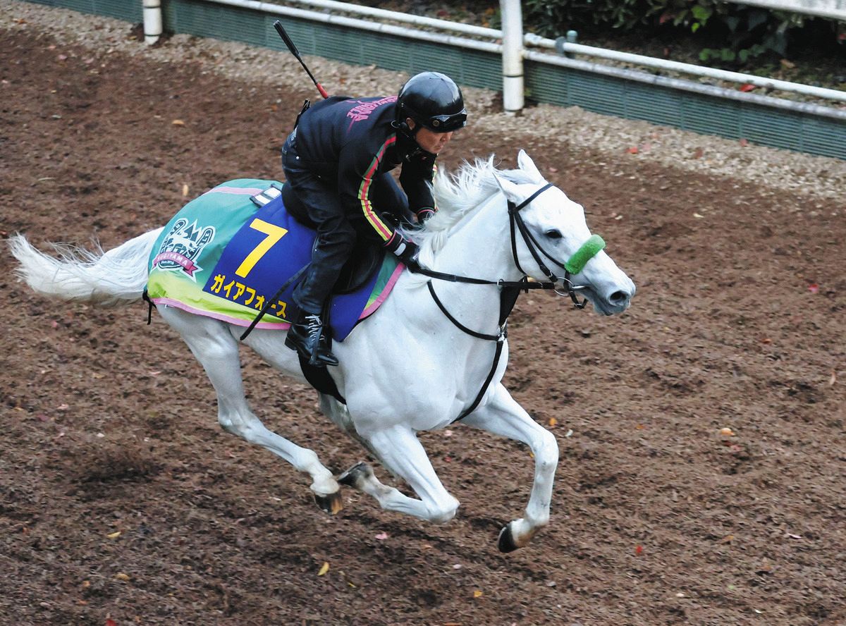 マイルCS】〝芦毛の怪物〟誕生へオグリキャップ以来の偉業に挑む 主役