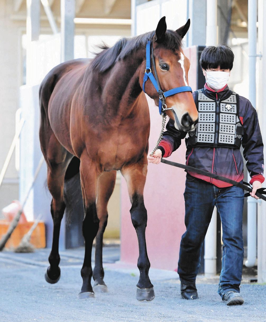メイケイエールはJ・マクドナルド騎乗で参戦 主戦の池添が落馬負傷で