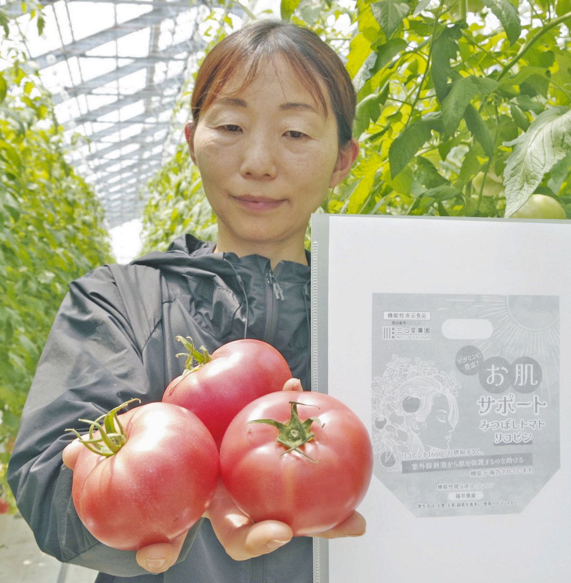 機能性表示食品トマトを販売へ 坂井「三つ星」 農薬控え栄養凝縮：日刊